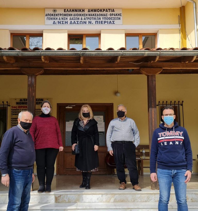 Πιερία -Δασικοί χάρτες: Στο site του Ελληνικού Κτηματολογίου ο  χάρτης όλων των προ - Καποδιστριακών Ο.Τ.Α. της  Πιερίας