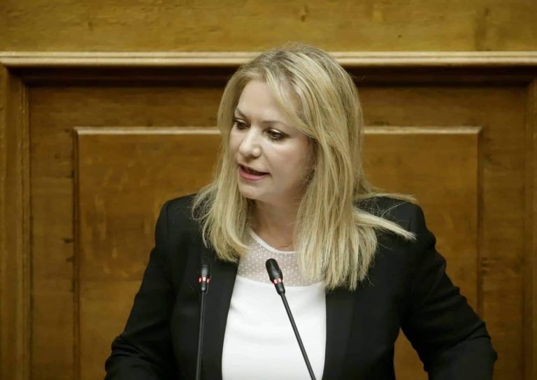 Η Άννα Μάνη  αντιλέγουσα στην ένσταση αντισυνταγματικότητας που κατατέθηκε από την Κ.Ο. του Μέρα 25 (video)