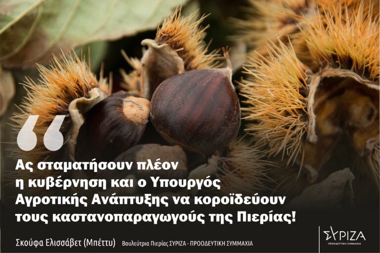 Επιστολή της βουλεύτριας ΣΥΡΙΖΑ- ΠΣ Πιερίας Ε. Σκούφα προς τον Υπουργό Αγροτικής Ανάπτυξης: "Ας σταματήσει πλέον το υπουργείο να εμπαίζει τους καστανοπαραγωγούς της Πιερίας!"