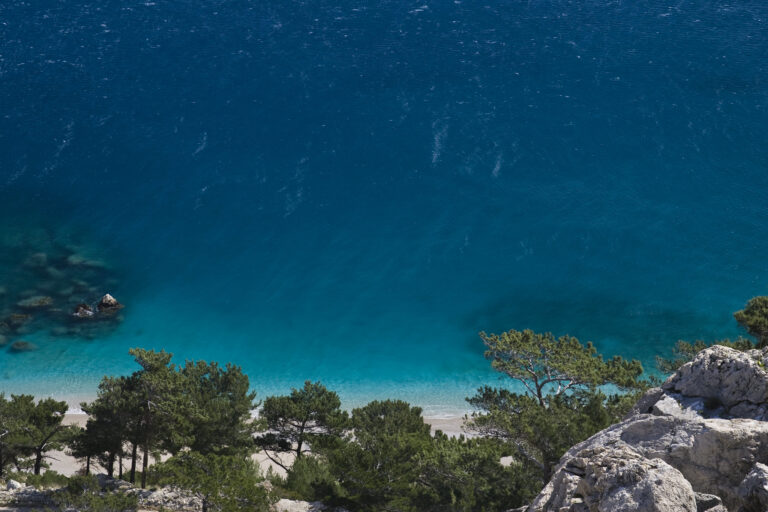 Σε διαβούλευση με εκπροσώπους 22 ΜΚΟ και περιβαλλοντικών φορέων οι ΚΥΑ εκβρασμών και λειτουργίας κέντρων περίθαλψης