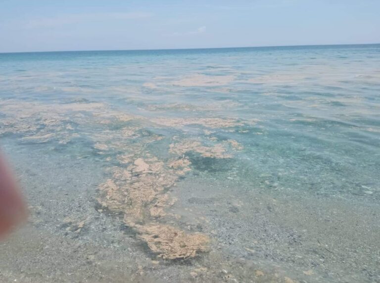 Δυο έγγραφα από την Π.Ε Πιερίας για την απόφαση απαγόρευσης των μυδιών - Η "βλάβη του βιολογικού και εκροή ακατέργαστων λυμάτων" έγινε "λόγω έκτακτων περιβαλλοντικών συνθηκών"