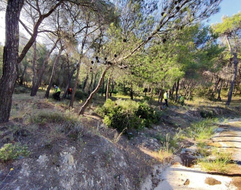 Πρόγραμμα προληπτικών καθαρισμών δασών Antinero - Στην Πιερία και σε όλη την Ελλάδα