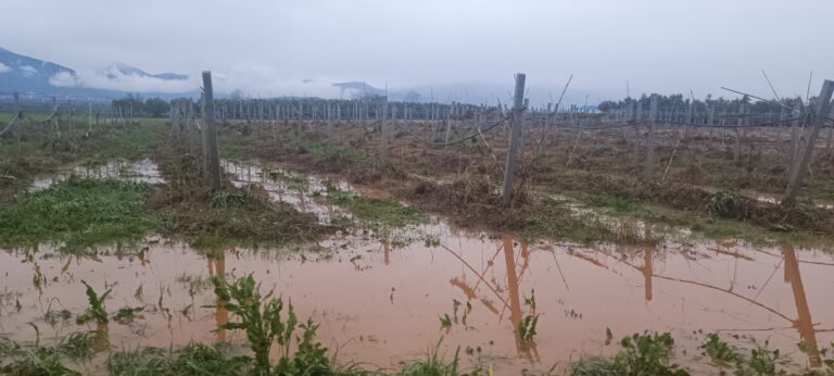 Κλιμάκια του ΕΛΓΑ θα επισκεφτούν τις πληγείσες καλλιέργειες σε Άγιο Σπυρίδωνα, Βροντού και Κονταριώτισσα