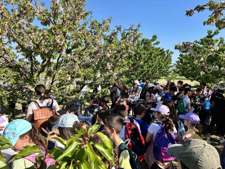 Εκπαιδευτικές επισκέψεις στους κερασώνες Κολινδρού-Ράχης από Νηπιαγωγεία και Δημοτικά Σχολεία της Πιερίας