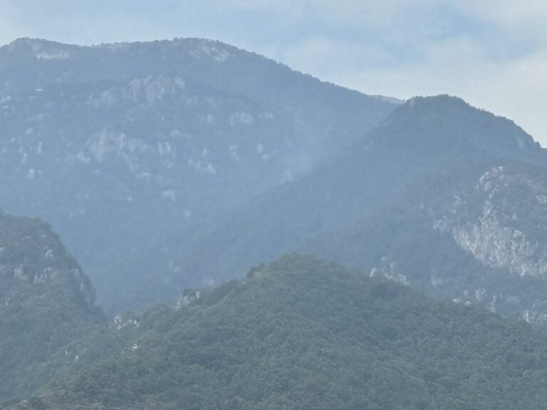 Η Διεύθυνση Δασών Πιερίας για τις πυρκαγιές στον Όλυμπο - Ευχαριστήριο στους εθελοντές (βίντεο + φωτό)