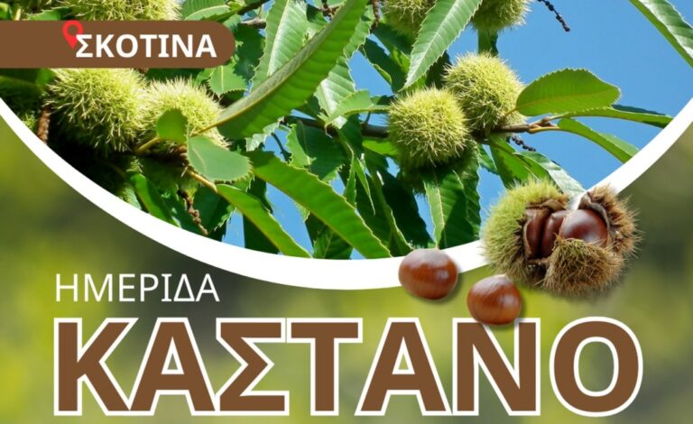 Δήμος Δίου-Ολύμπου: Hμερίδα για τις παθήσεις και τη διαχείριση των καστανοκαλλιεργειών -  Κυριακή 22/3 στη Σκοτίνα